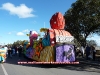carn066